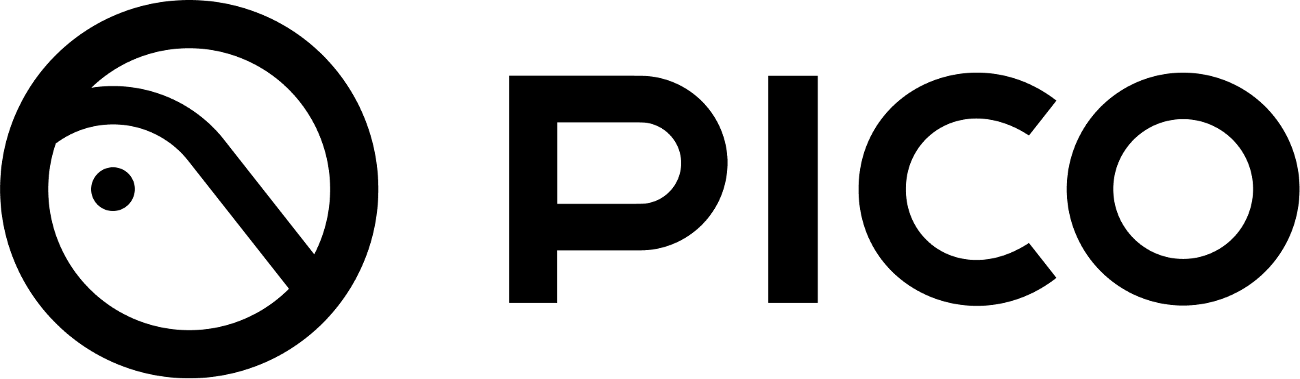 PICO XR